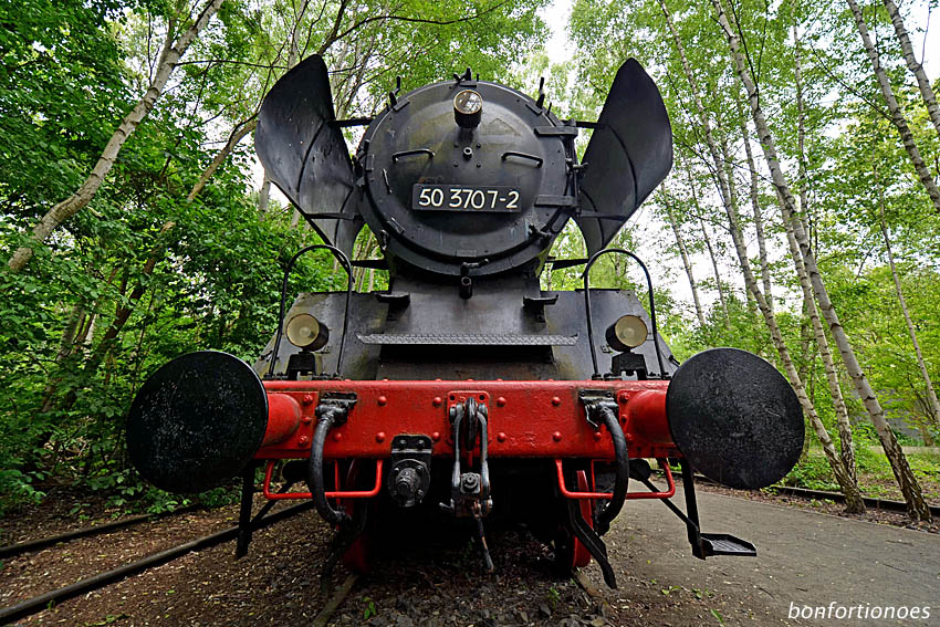 Sschwarzer Elefant-in Tempelhof